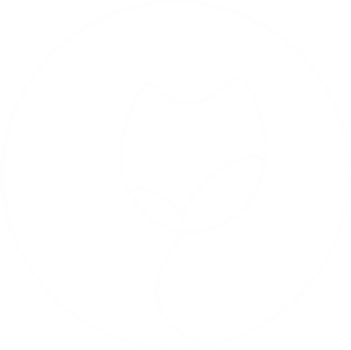 Preloader
